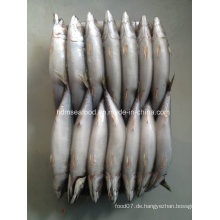 Bqf Gefrorene Meeresfrüchte Fisch für Makrele